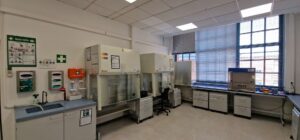Lab 3